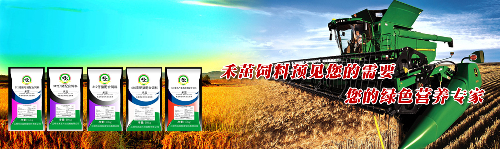泰安市仁德化工有限公司